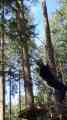 VID-20240923-WA0003.mp4