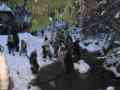 2003_X_Q_Golling_0006.JPG