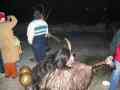 2003_X_Q_Golling_0066.JPG