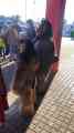 IMG-20231209-WA0043.jpg