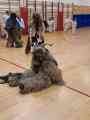 IMG-20231205-WA0110.jpg